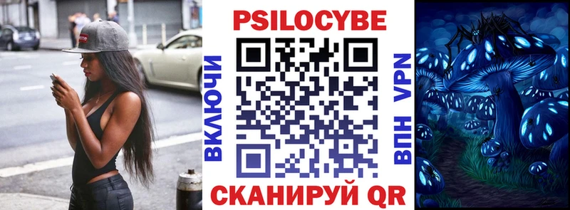 дарк нет состав Николаевск-на-Амуре Псилоцибиновые грибы Cubensis